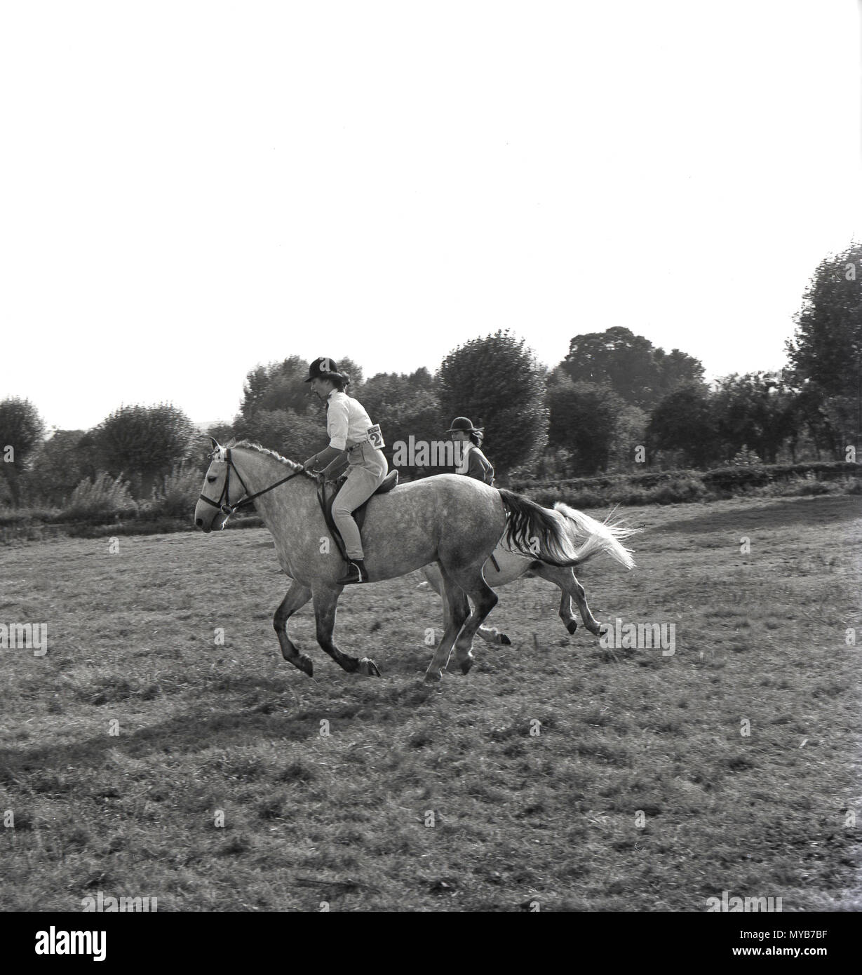 1964, historical, young female on her horse in a field at an outdoor ...