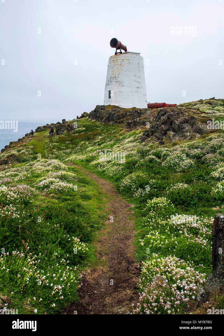 South Horn at Isle of May National Nature Reserve, Firth of Forth, Scotland, UK Stock Photo