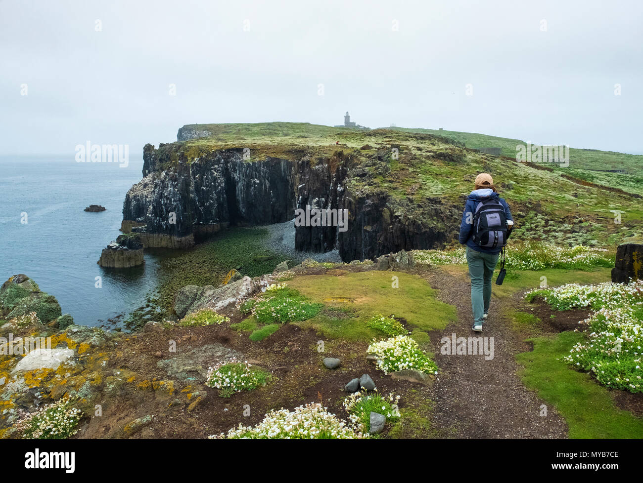 View of Pilgrim’s Haven on Isle of May National Nature Reserve, Firth