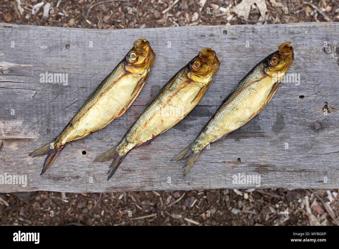 Three dried alewives from a smokehouse in Maine, USA. Stock Photo