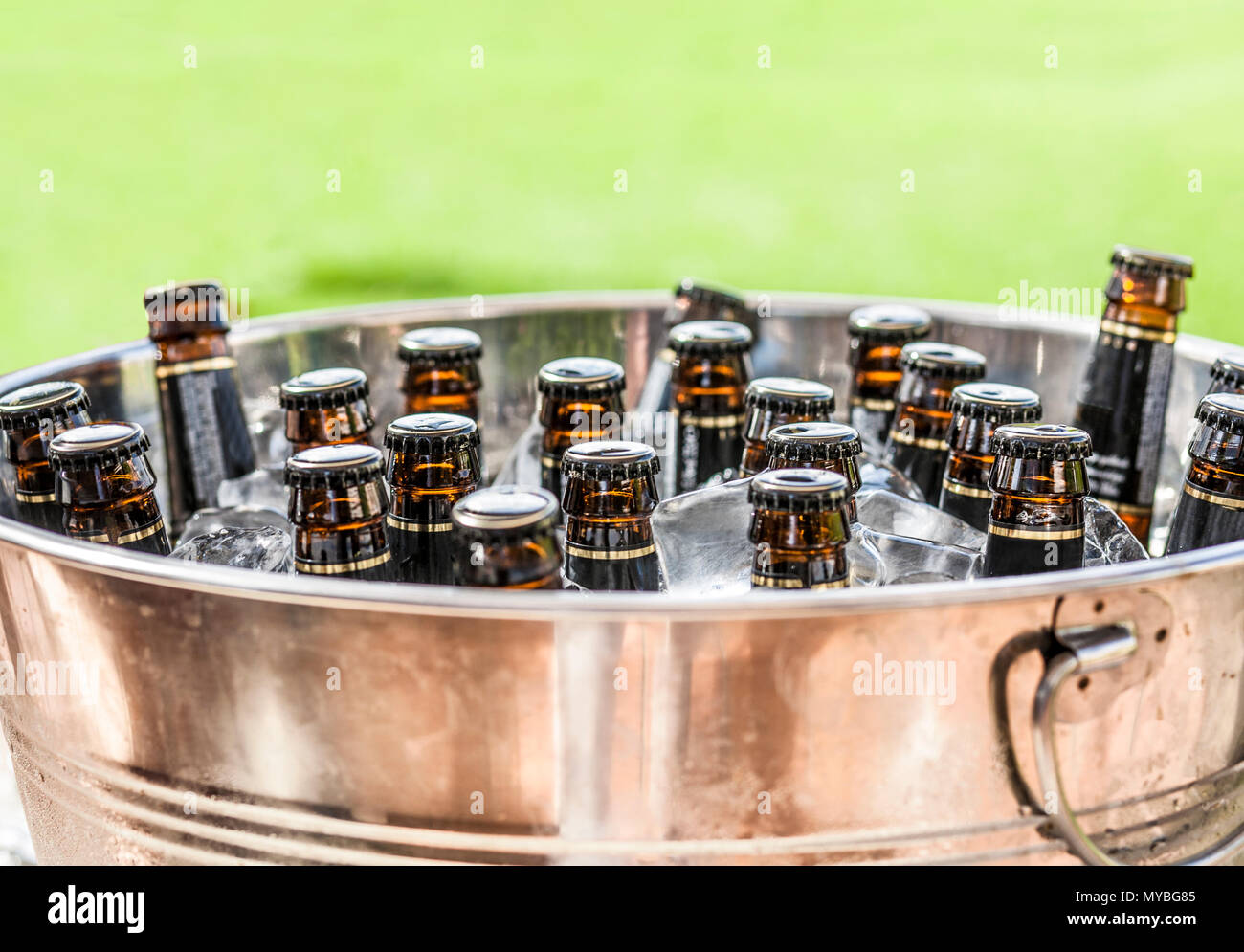 Beer bottles on ice bucket with green grass background. Closeup Stock Photo