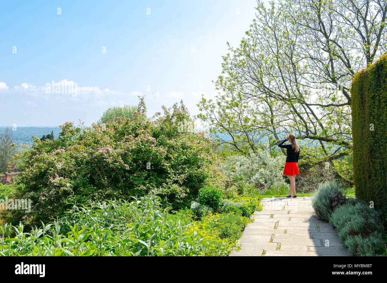 Woman in a red dress surrounded by green plants in a formal garden in springtime/ early summer Stock Photo