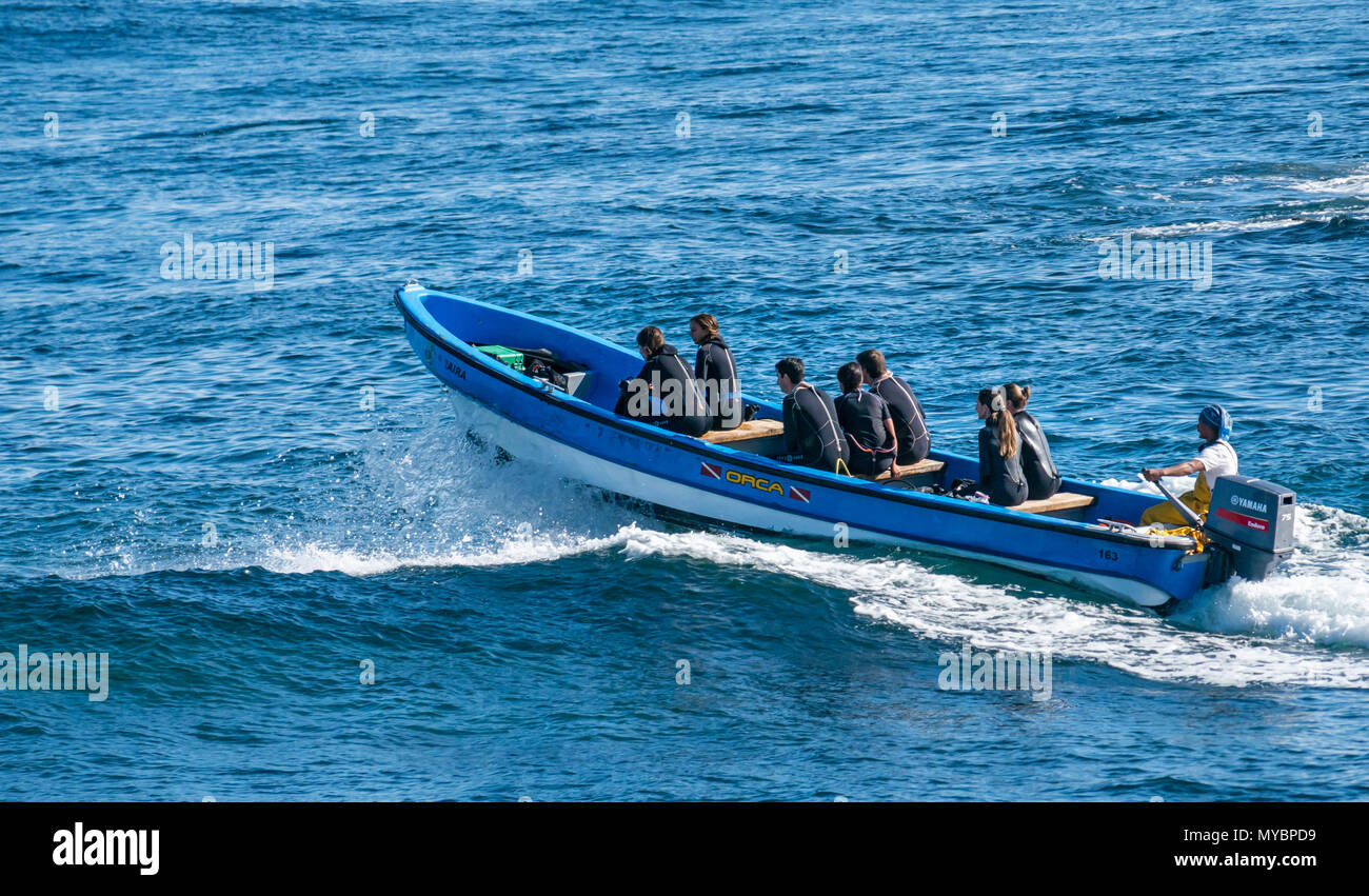 Small boat taking group of people in wetsuits to diving location, Hanga Roa, Easter Island, Pacific Ocean, Chile Stock Photo