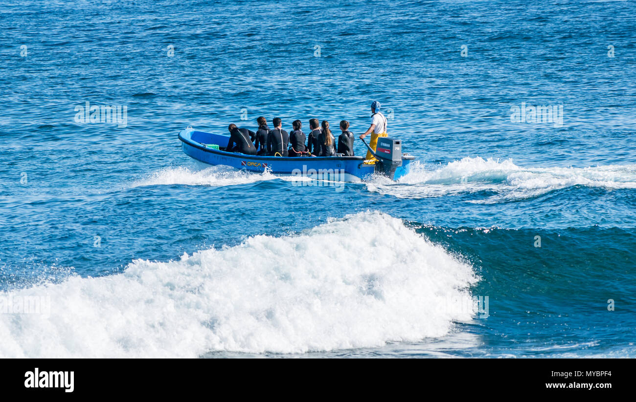 Small boat taking group of people in wetsuits to diving location, Hanga Roa, Easter Island, Pacific Ocean, Chile Stock Photo