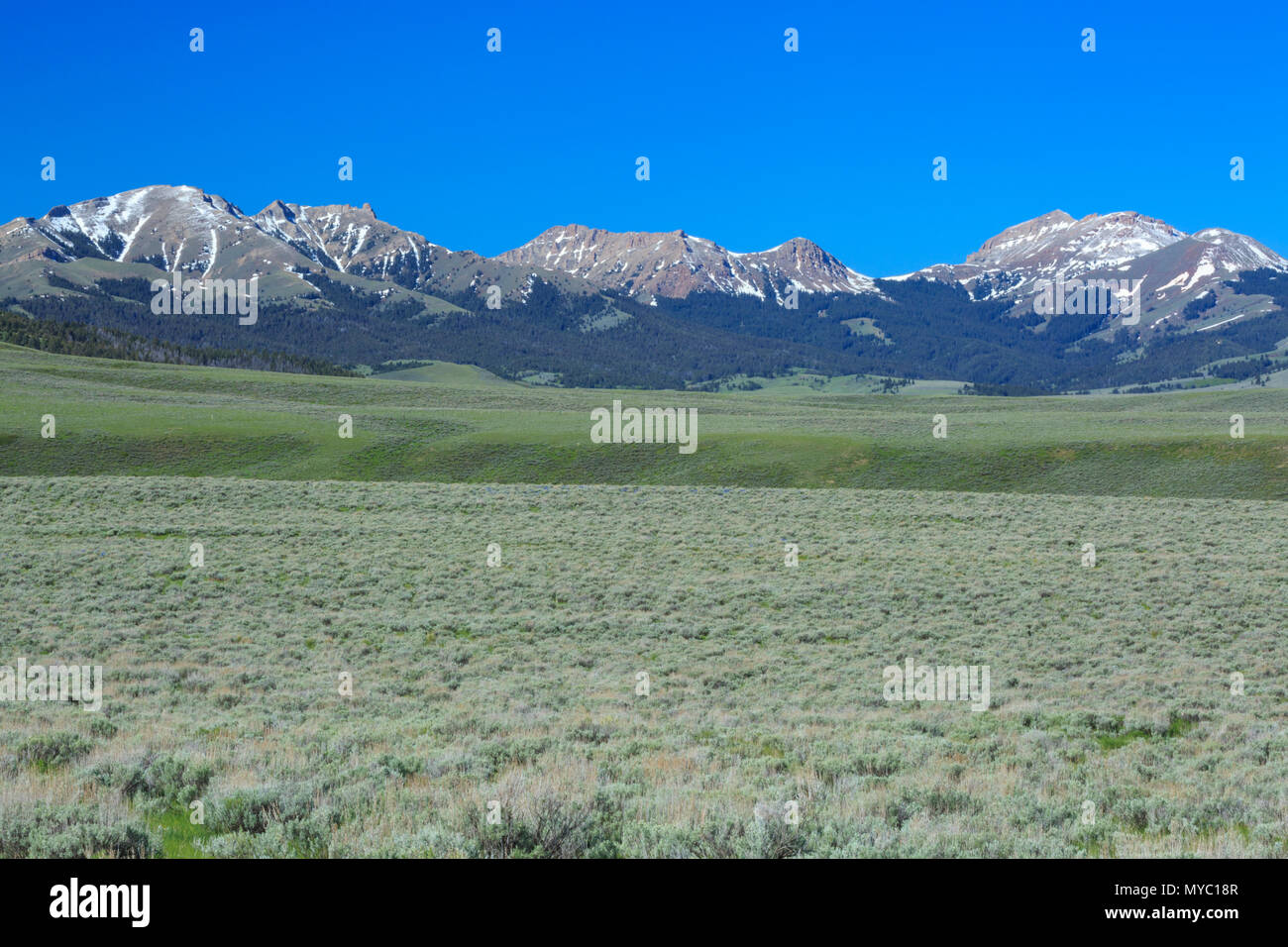 sagebrush habitat below the red conglomerate peaks near monida, montana Stock Photo
