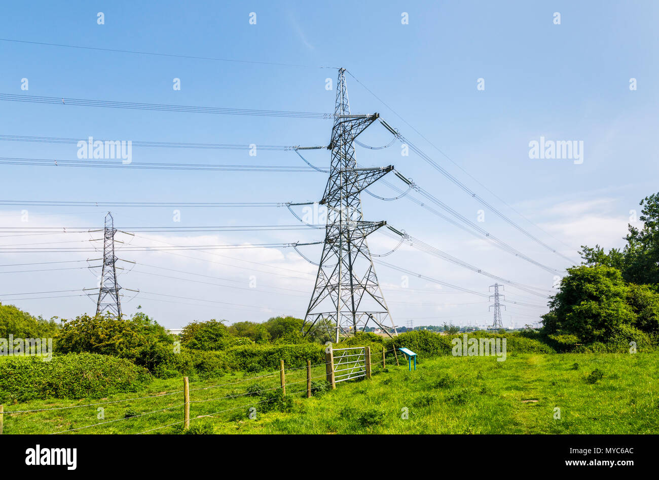 Electricity pylons with overhead cables in the Lower Test Nature