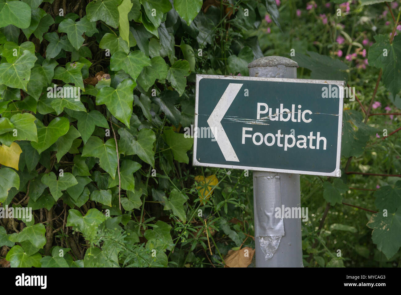 Public footpath sign near Truro, Cornwall. Stay on the right path, on the right path metaphor, walking signpost UK, public footpath signpost UK. Stock Photo