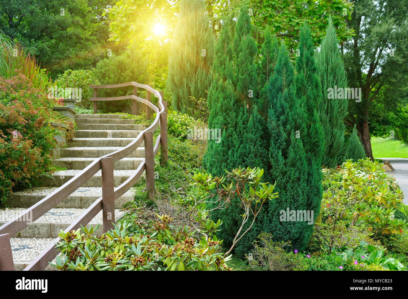 beautiful summer park and sunrise Stock Photo - Alamy
