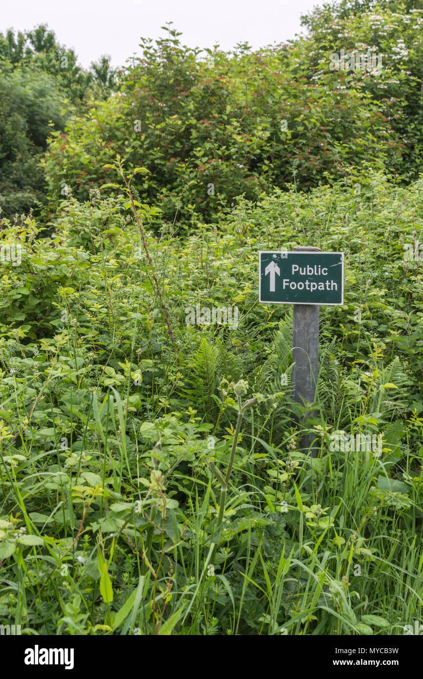 Public footpath sign - the actual footpath overgrown with grass and weeds. Stay on the right path parody, UK walking signpost, weeds growing on path. Stock Photo