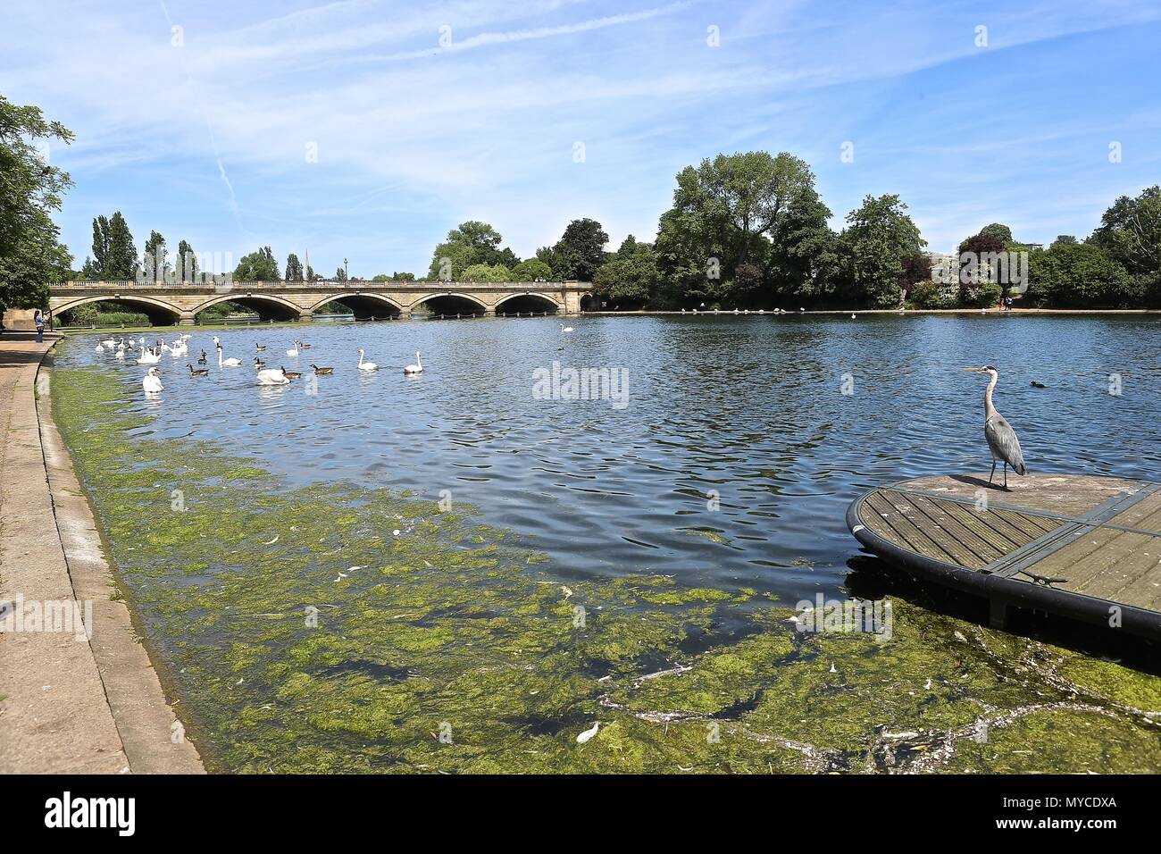 Hyde Park London England Stock Photo - Alamy