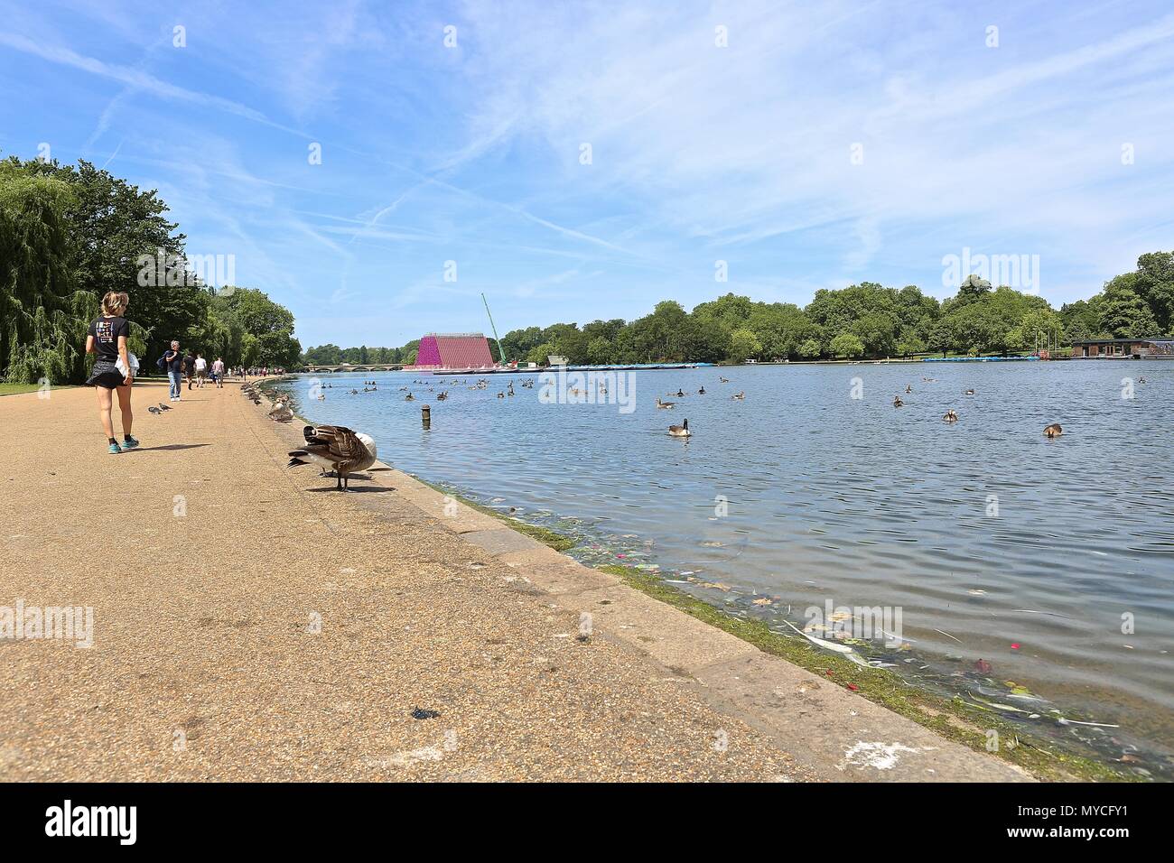 Hyde Park London England Stock Photo - Alamy