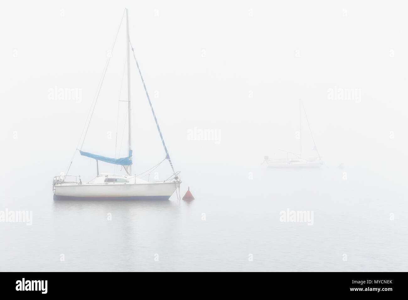Sail boats in a foggy morning in Alava Stock Photo
