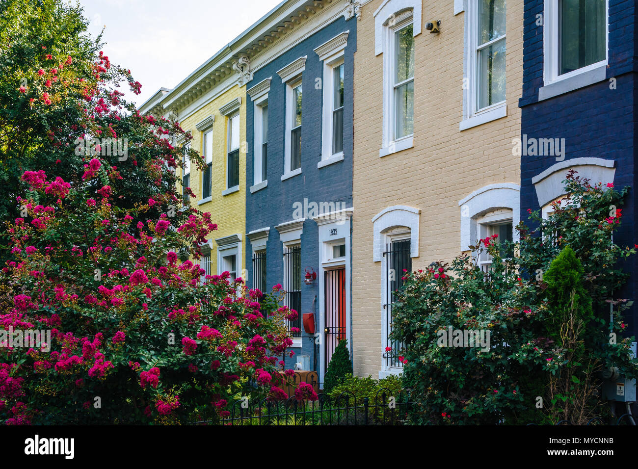 Row houses in Shaw, Washington, DC Stock Photo Alamy