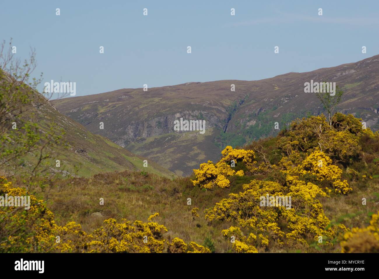 Basal Quartzite High Resolution Stock Photography and Images - Alamy