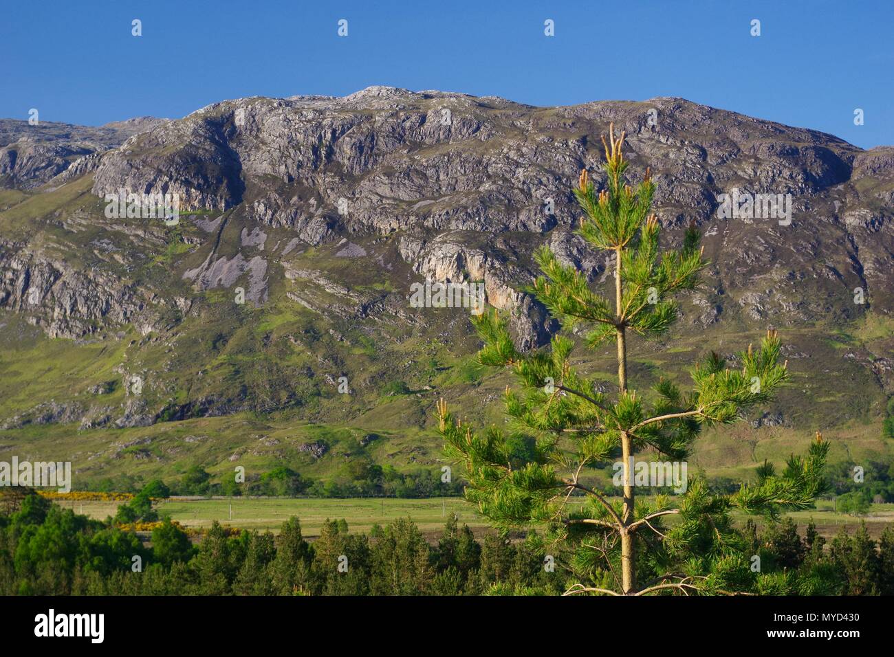 Mountain Ridge of Beinn a'Mhuinidh, Basal Quartzite Geology beyond a ...