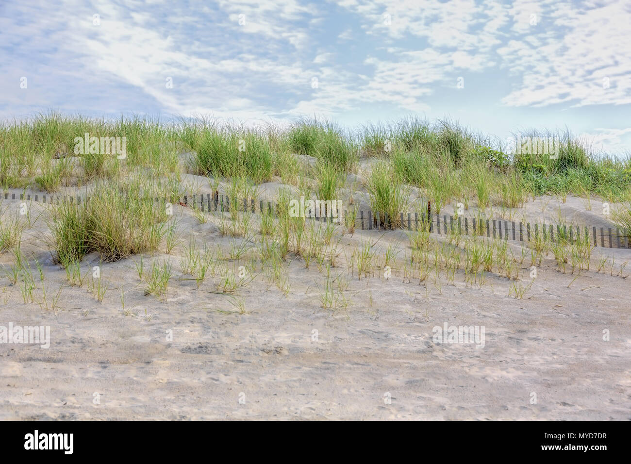 Beach with sand dunes Scene on a sunny day with blue skiy. Stock Photo