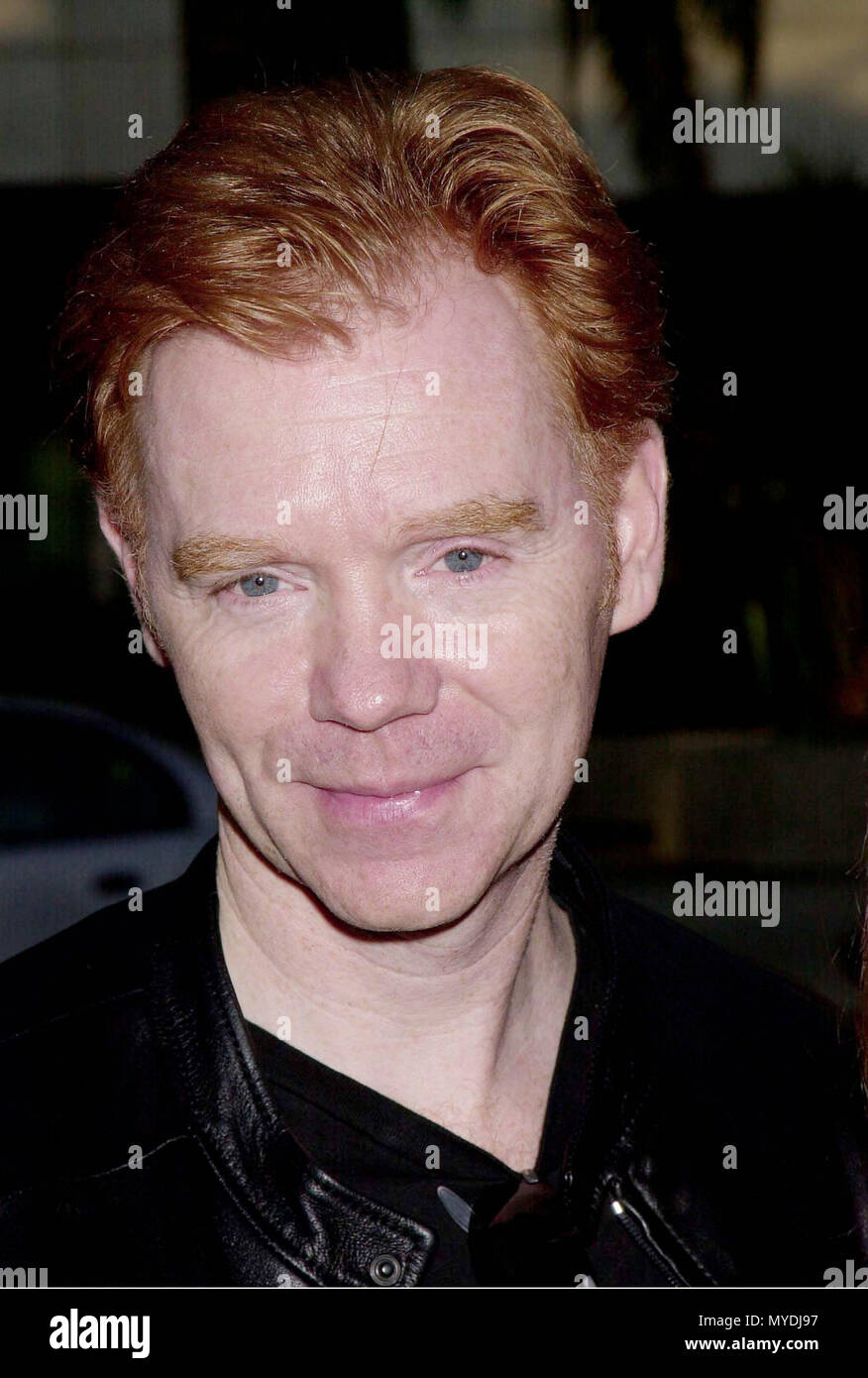 David caruso red carpet event hi-res stock photography and images - Alamy