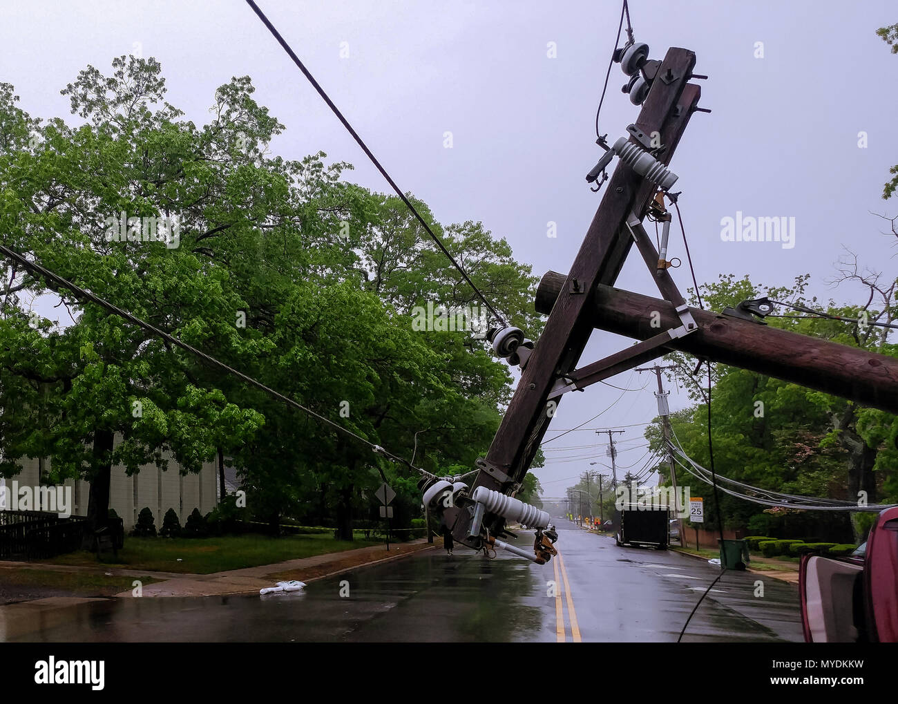 tree and electric pole on after hurricane damaged car turned over after