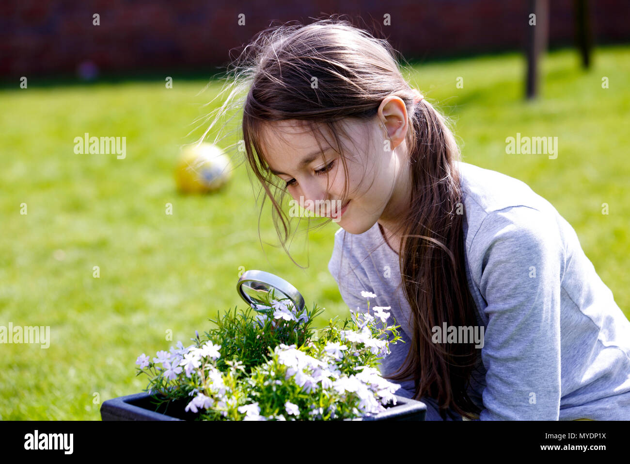 Girl examining a plant with a magnifying glass. Stock Photo
