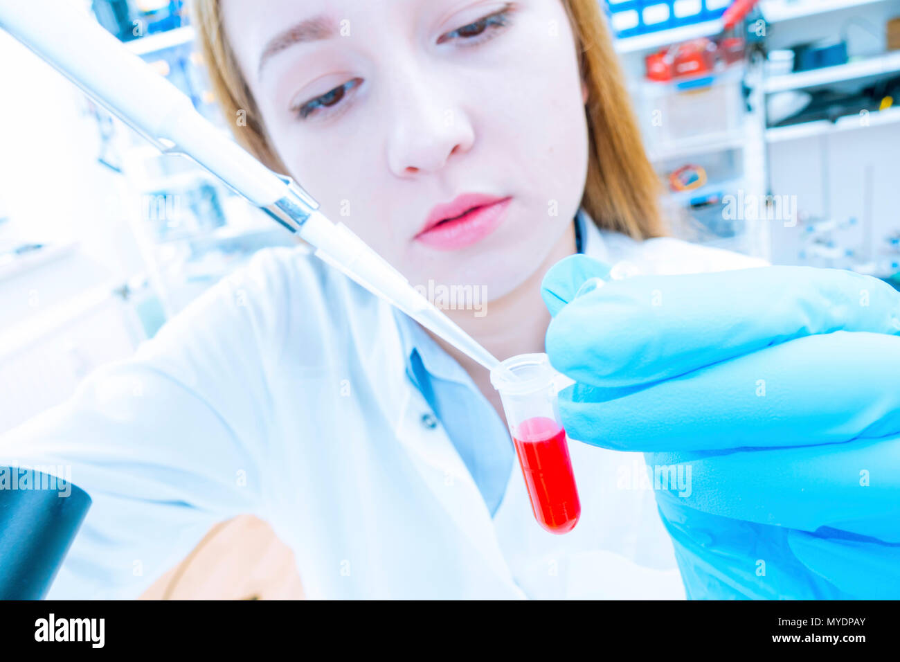 Biological research. Technician pipetting solution. Stock Photo