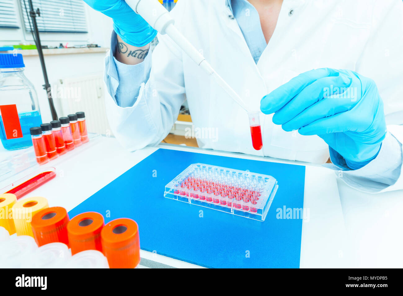 Biological research. Technician pipetting solution. Stock Photo