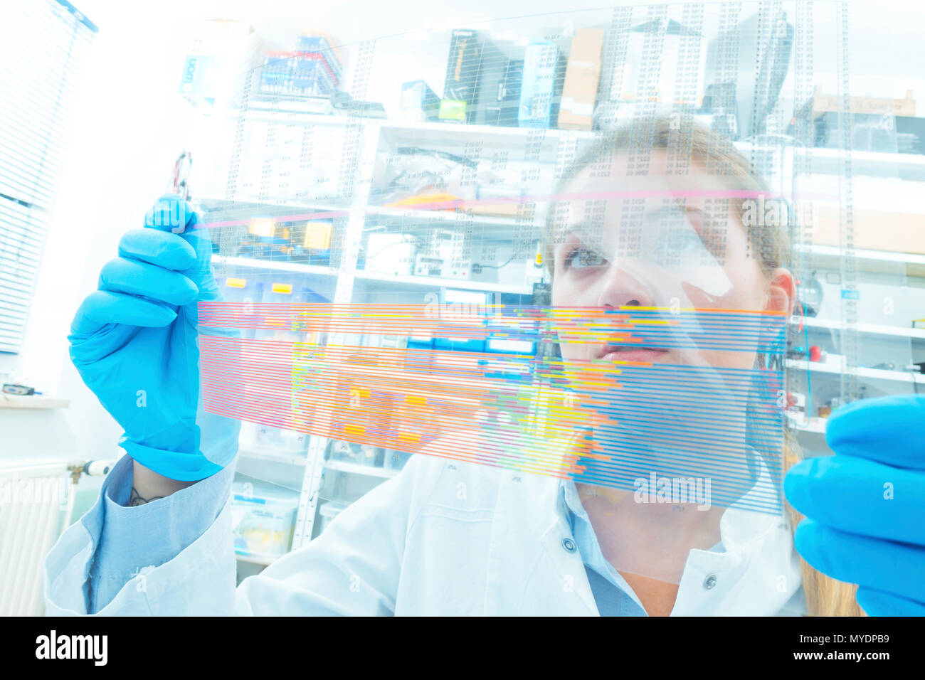 Genetics research. Technician analysing the sequence of a DNA ...