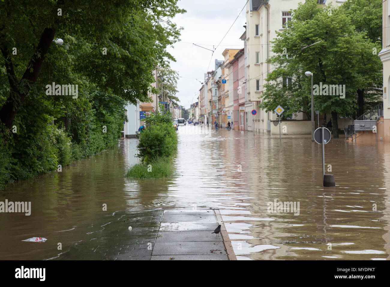 Flooded street, Gera, Germany, 3rd June 2016. Stock Photo
