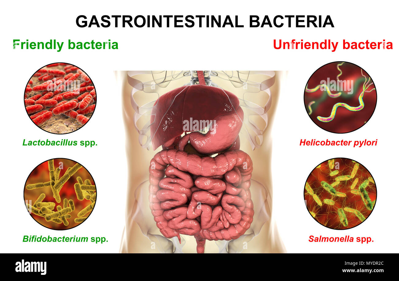 Dahshatli katta Dik bilan porno