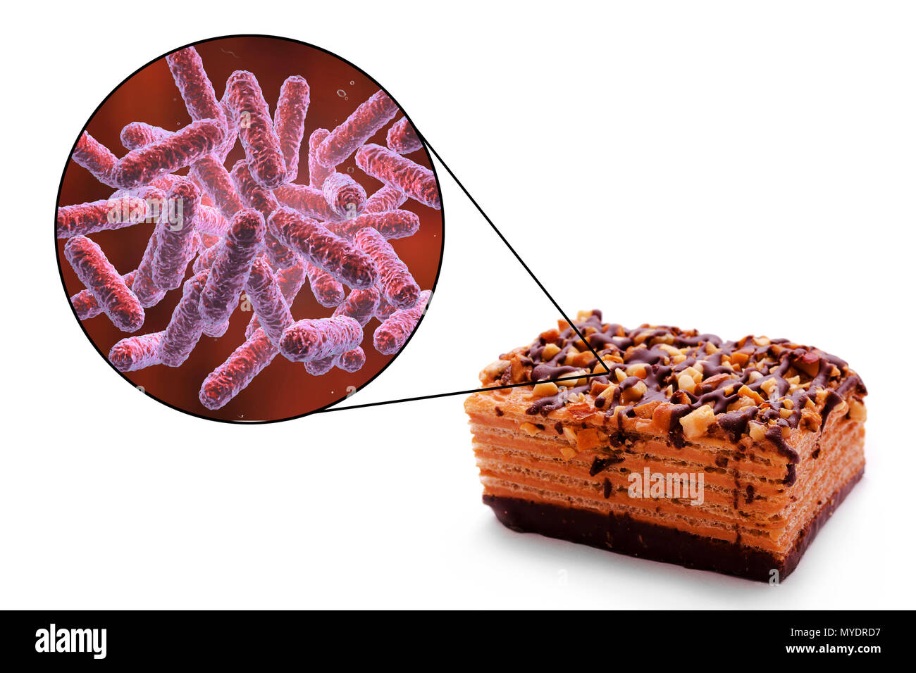 Foodborne infection, conceptual illustration. A foodborne infection is an infectious disease that develops after ingestion of pathogenic microorganisms with food. Many bacteria are causative agents of foodborne infections, including Enterobacteriaceae bacteria such as Escherichia coli, Shigella sp. and Salmonella sp.. Stock Photo