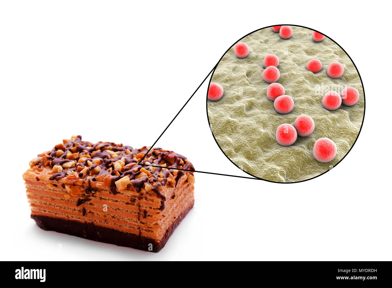стафилококк золотистый staphylococcus aureus. бактерия стафилококк ауреус. энтеротоксигенный стафилококк. стафилококк золотистый staphylococcus aureus. пищевые токсикоинфекции золотистый стафилококк.