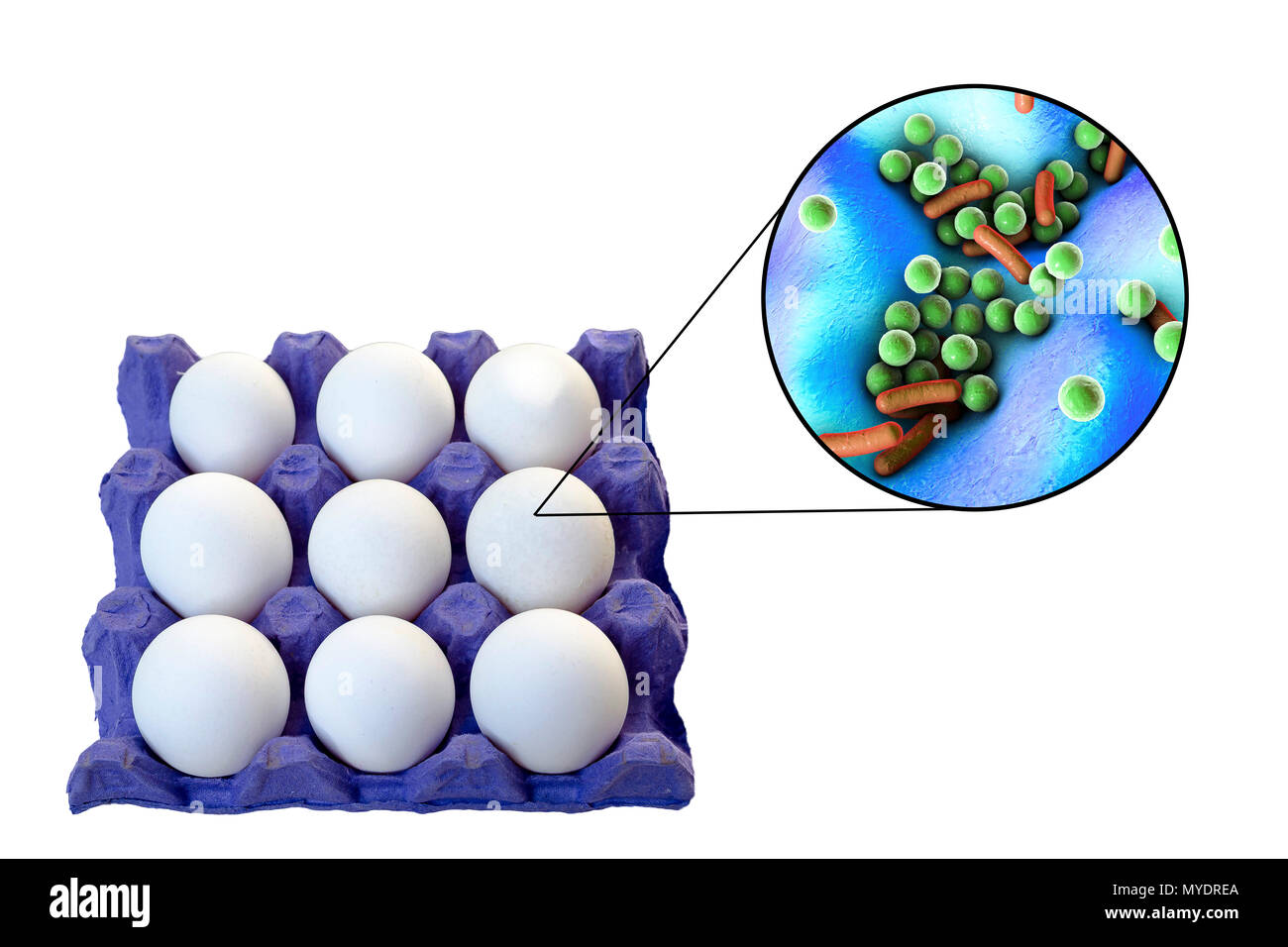 Coccus bacteria Cut Out Stock Images & Pictures - Alamy