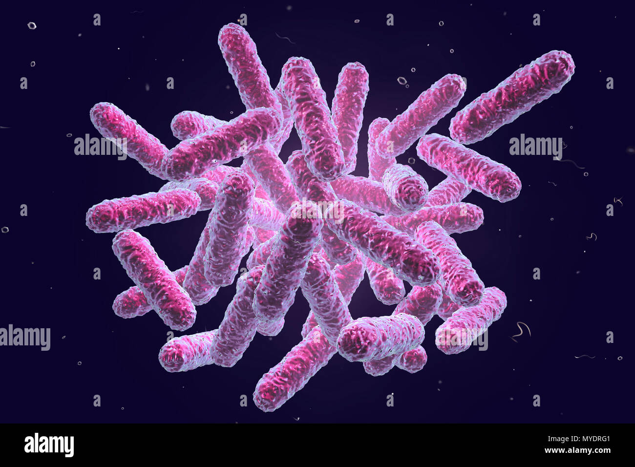 Enterobacteriaceae bacteria, computer illustration. These are Gram-negative rod-shaped bacteria. The family Enterobacteriaceae includes the genera Escherichia, Shigella, Salmonella, Klebsiella, Yersinia, Citrobacter, and Enterobacter. Some of these bacteria cause diarrheal infections (Salmonella, Shigella). Others are representatives of the normal microbiome of the intestines and other organs (Escherichia coli, Klebsiella spp.), but can also cause disease in certain locations (surgical wound infection, urinary tract infection) or in case of decreased immunity (pneumonia in postoperative Stock Photo