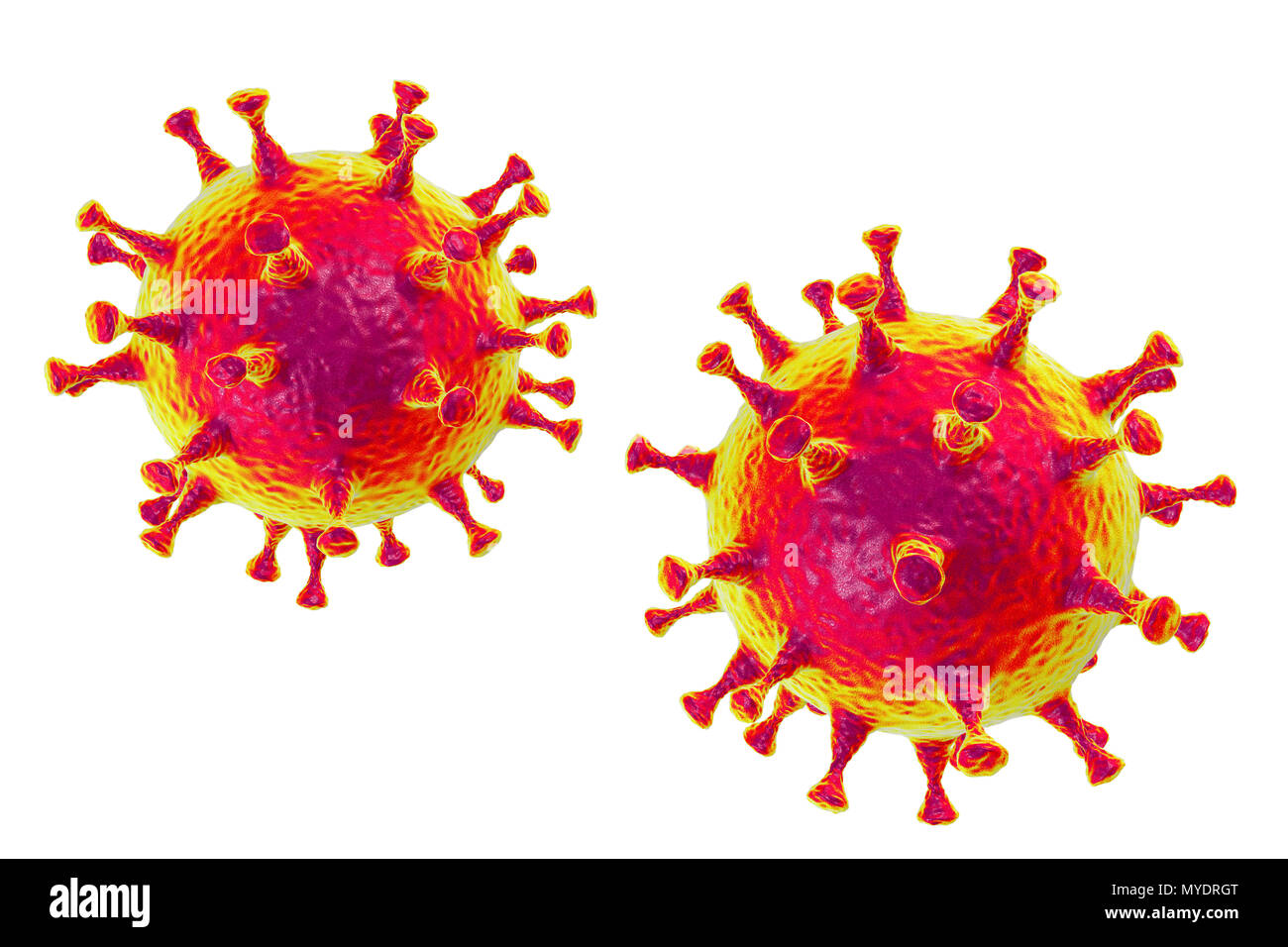 Middle East Respiratory Syndrome Coronavirus (MERS-CoV) particles (virions), computer illustration. Formerly known as novel coronavirus, MERS was first identified in Saudi Arabia in 2012. Most people infected with MERS develop severe acute respiratory illness with symptoms of fever, cough, and shortness of breath. Stock Photo