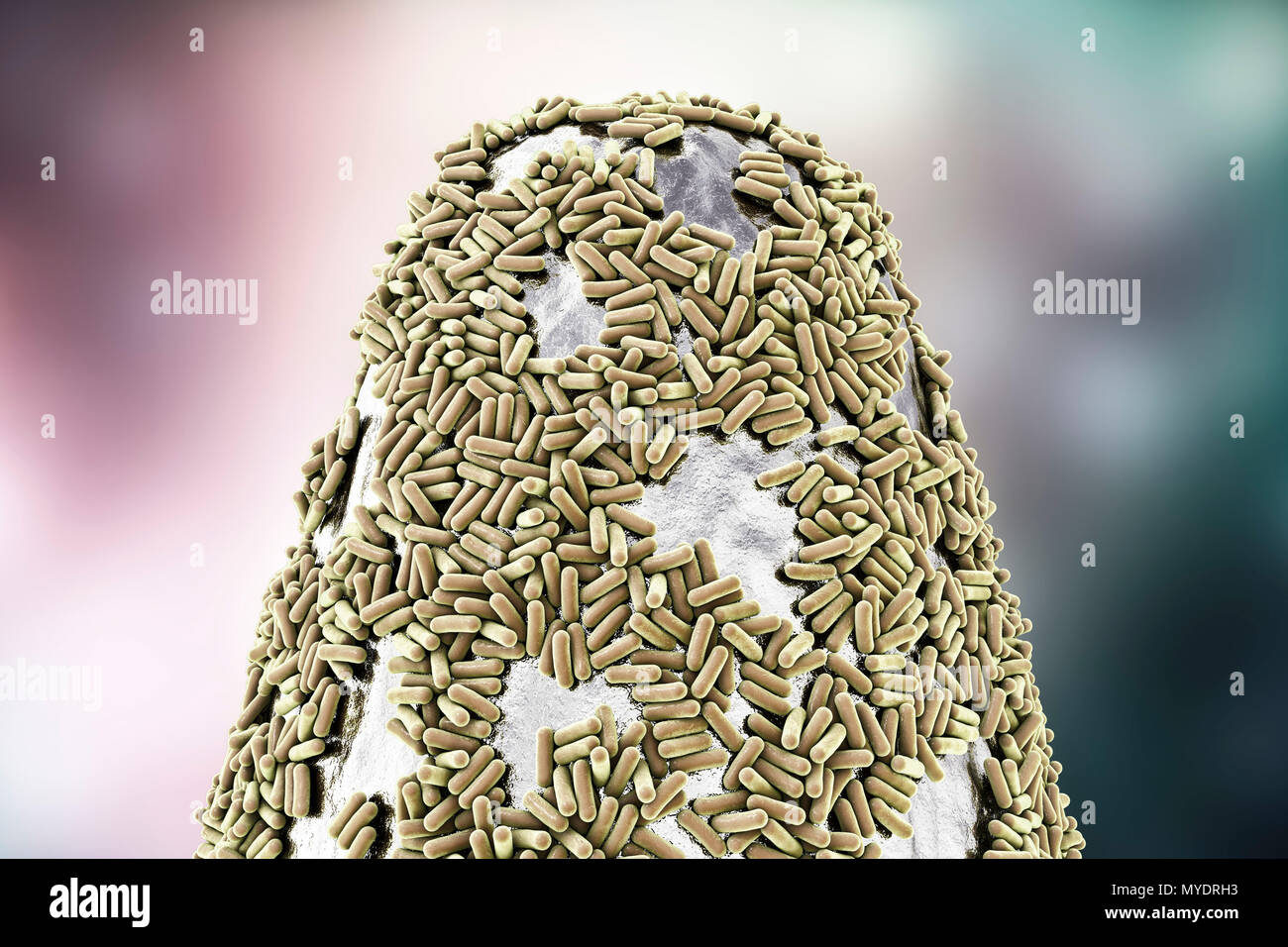 Computer illustration of bacteria on the tip of a pin. Although