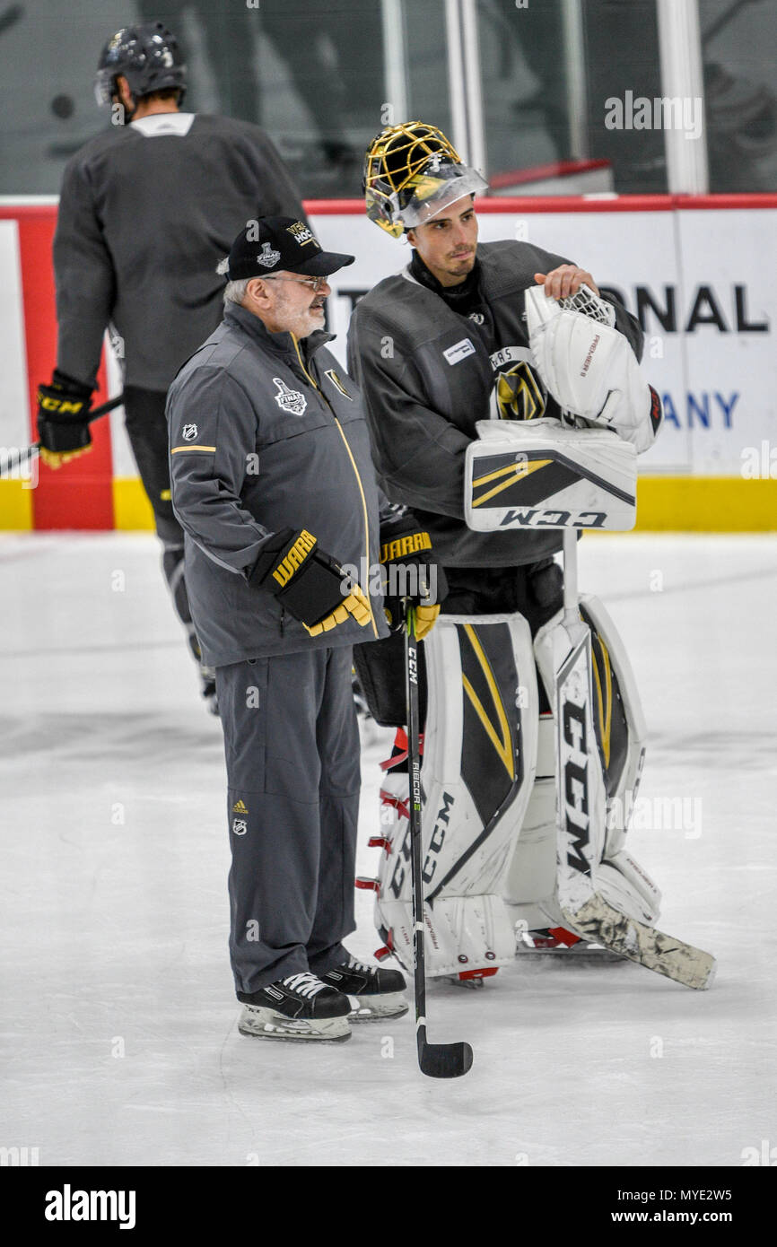 Marc andre fleury hi-res stock photography and images - Alamy