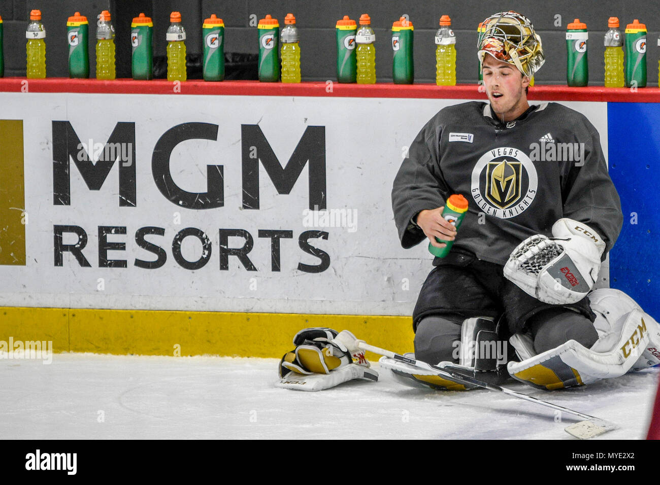 Marc andre fleury hi-res stock photography and images - Alamy 