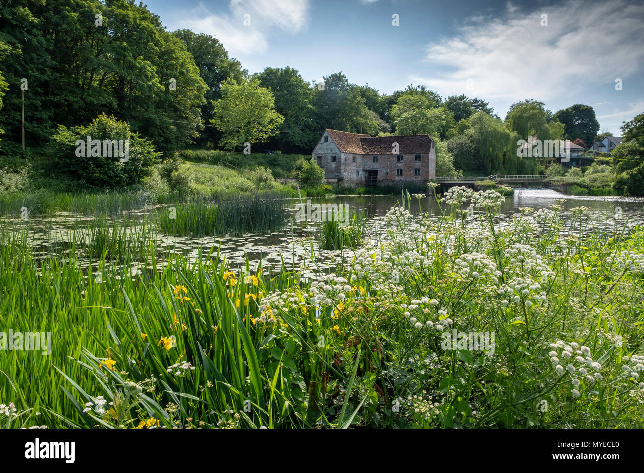 Sturminster newton dorset hires stock photography and images Alamy