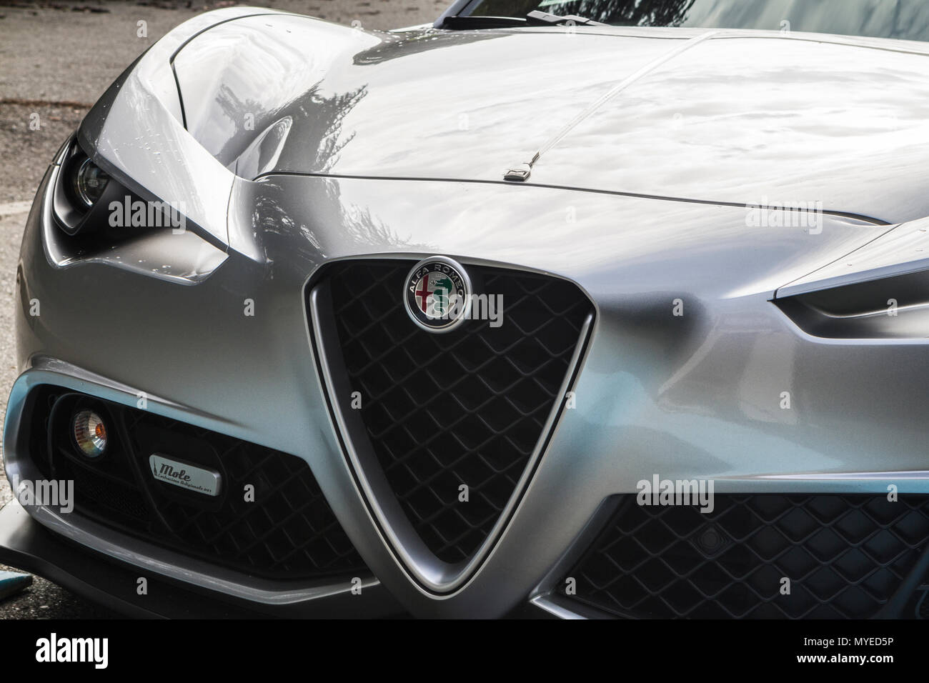 Torino, Italy. 7th June 2018. Detail of Alfa Romeo 4C by Mole Costruzione Artigianale. 2018 edition of Parco Valentino car show hosts cars by many automobile manufacturers and car designers inside Valentino Park in Torino, Italy Credit: Marco Destefanis/Alamy Live News Stock Photo