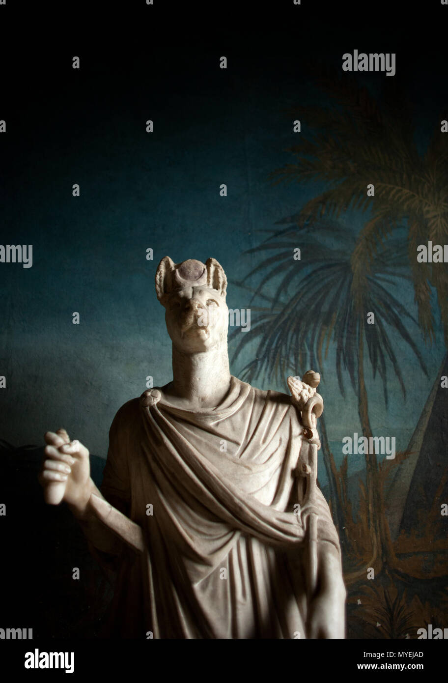 A sculpture of the Egyptian god Anubis is displayed in the Vatican Museum in Vatican City State, in Rome. Stock Photo