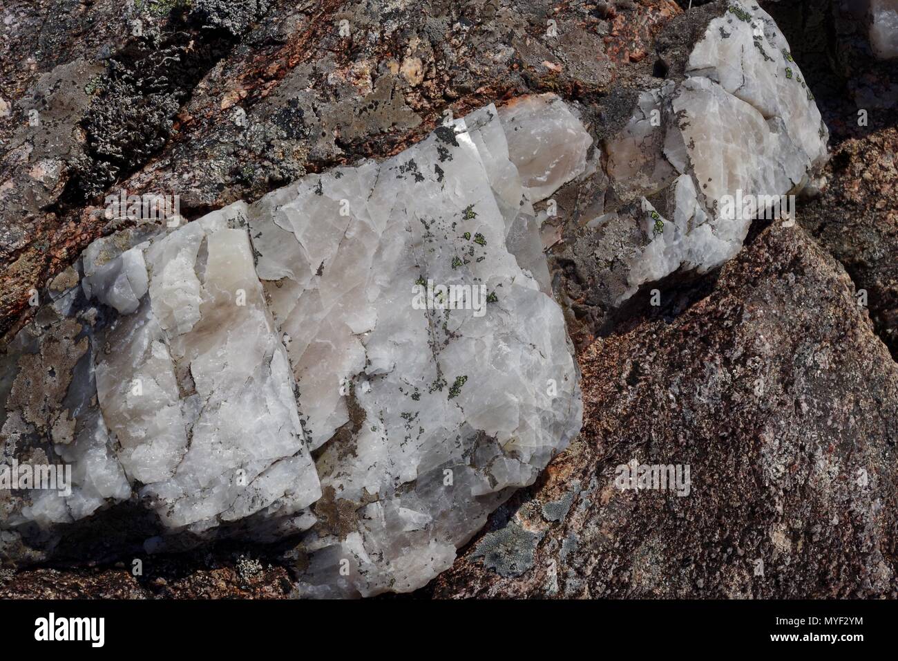 Natural Background of a Large White Quartz crystal in Lewisian Gneiss