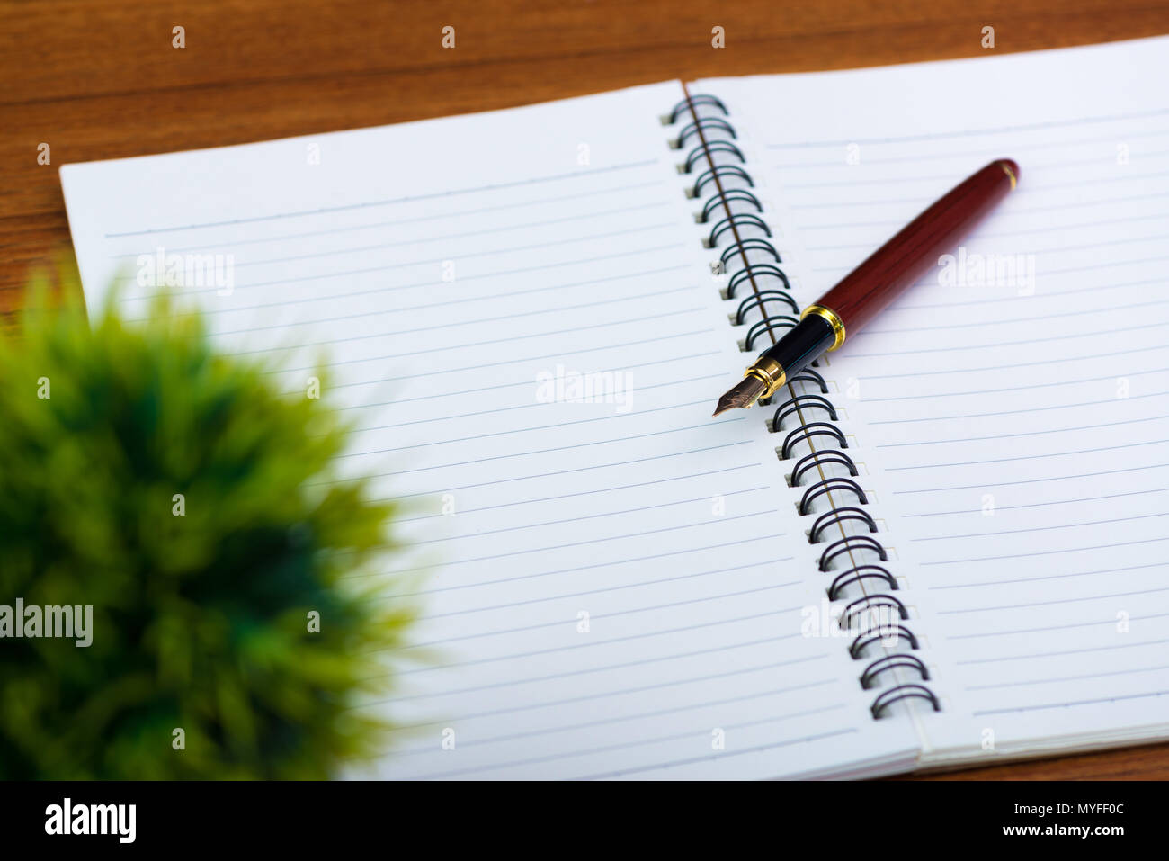 Fountain Pen Or Ink Pen With Notebook Paper And Little Decoration