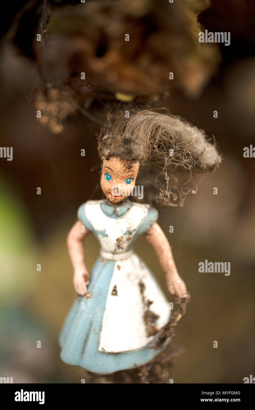 A doll from the film Alice in Wonderland hangs on a tree on the Island of  the Dolls in Xochimilco, southern Mexico City. The late Don Julian turned h  Stock Photo -