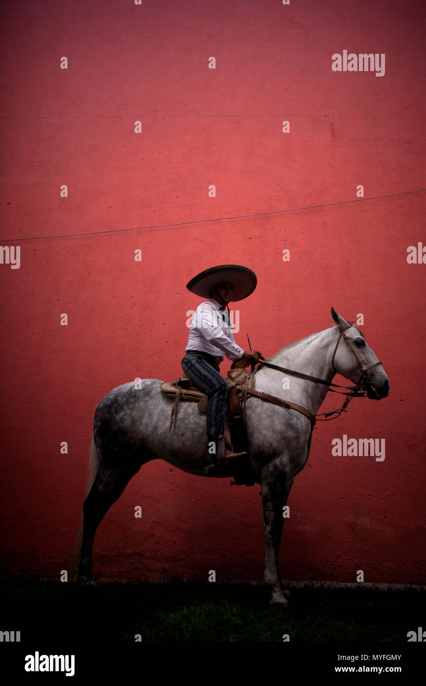 Charro singer Antonio Alvarado, rides his horse before performing their music and equestrian show with Martinelli, the White Wolf (El Lobo Blanco) com Stock Photo