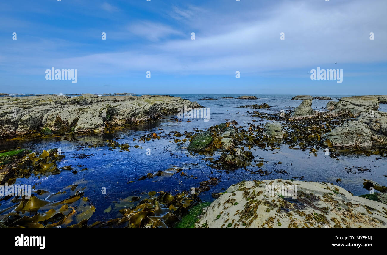 Landscape of Lake Tekapo in South Island, New Zealand Stock Photo - Alamy