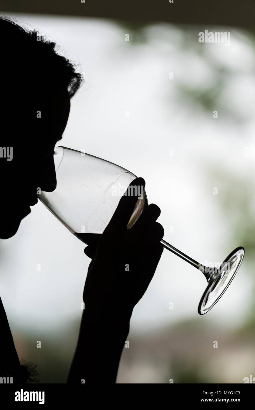 The silhouette of a woman sampling the aroma of a glass of wine at a wine tasting. Stock Photo