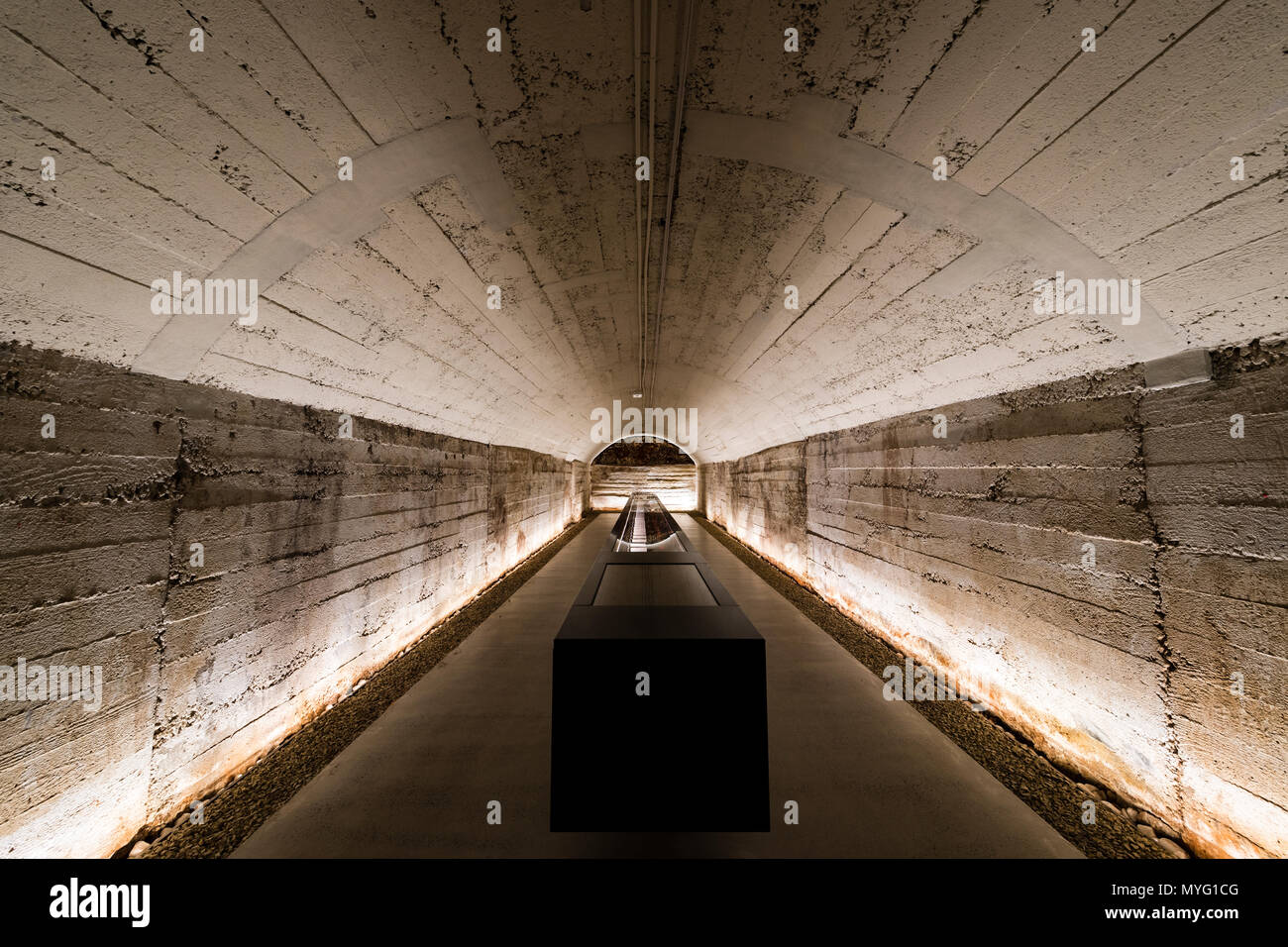 An underground climate controlled tunnel storing a rare collection of