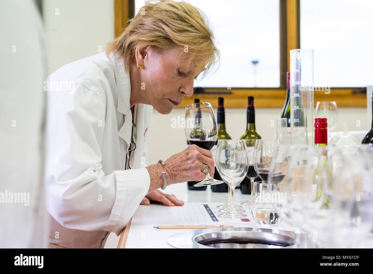 A woman samples the aroma of a red wine blend she is creating in a laboratory. Stock Photo