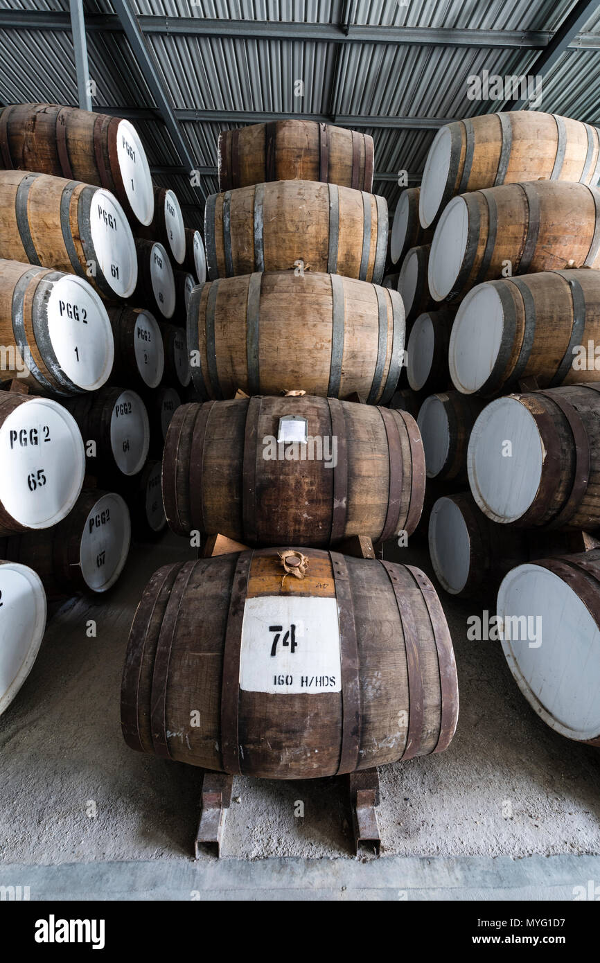 An enormous collection of wine barrels stacked and stored in a shed to age and mature. Stock Photo