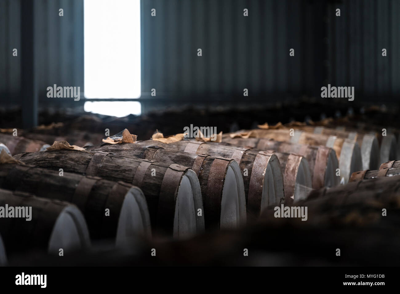 An enormous collection of wine barrels stacked and stored in a shed to age and mature. Stock Photo