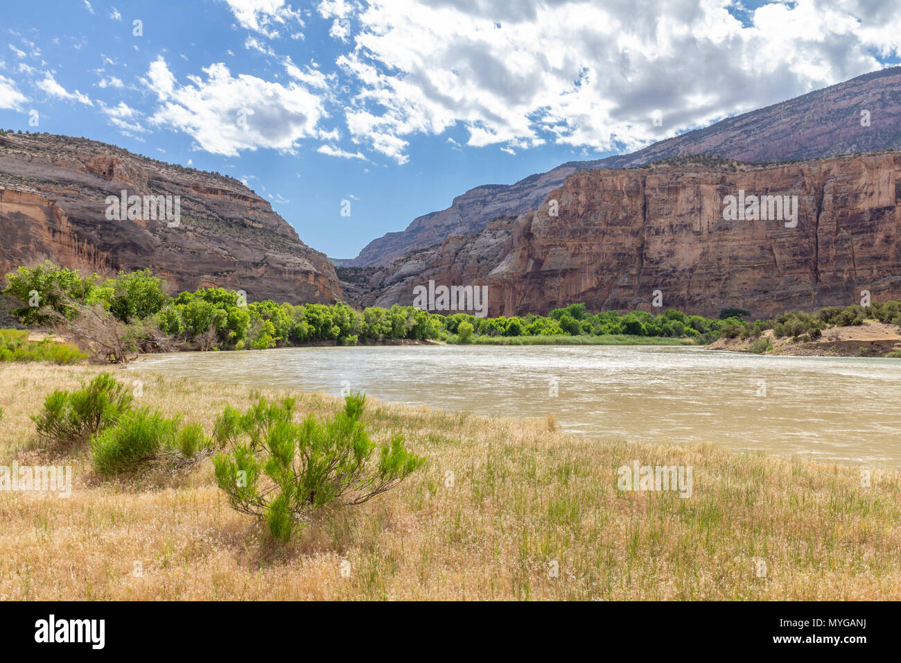 Green river in front of Echo Park in the Dinosaur National Monument